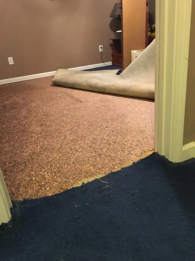 Carpet pad removal revealing water damage during Water Mitigation Services in Kearny